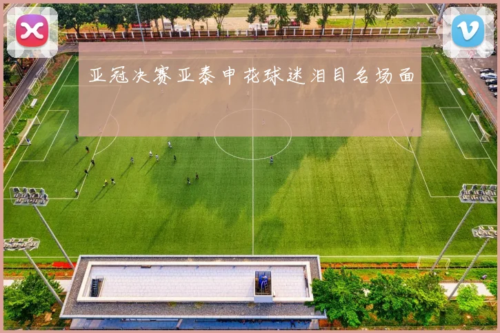 亚冠决赛亚泰申花球迷泪目名场面