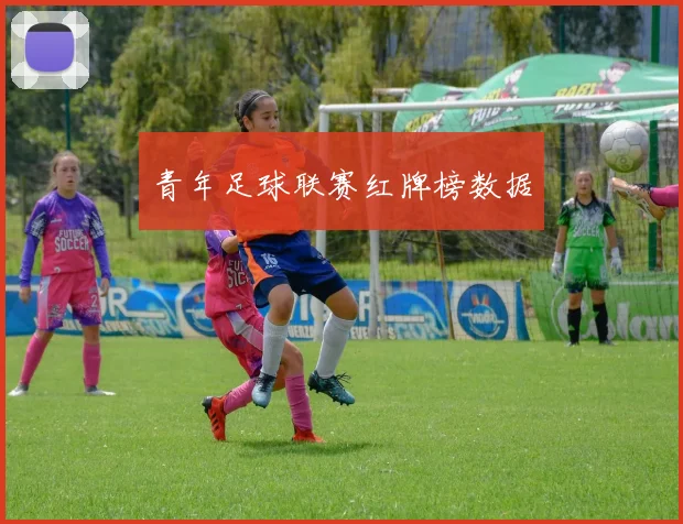 青年足球联赛红牌榜数据